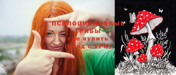 a pvp Заволжск